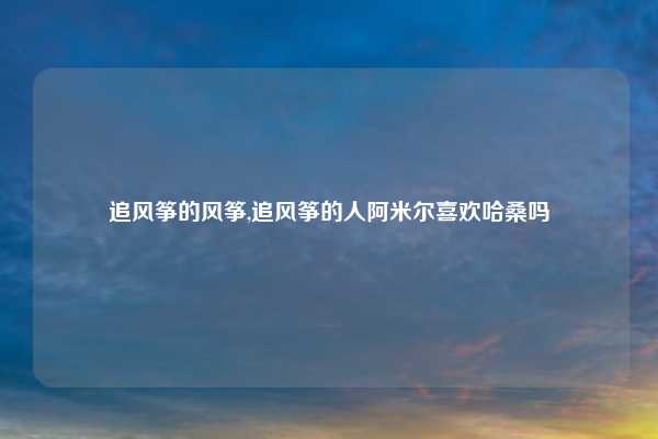 追风筝的风筝,追风筝的人阿米尔喜欢哈桑吗