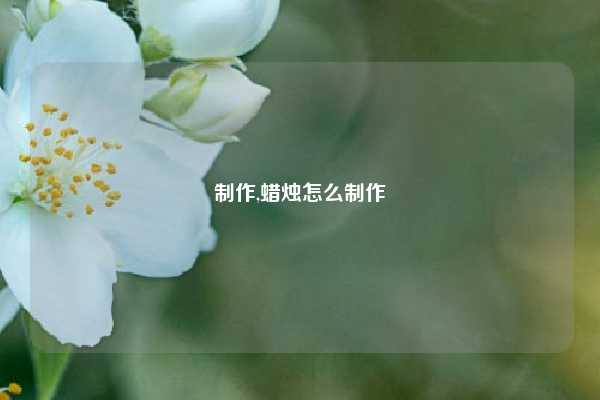 制作,蜡烛怎么制作