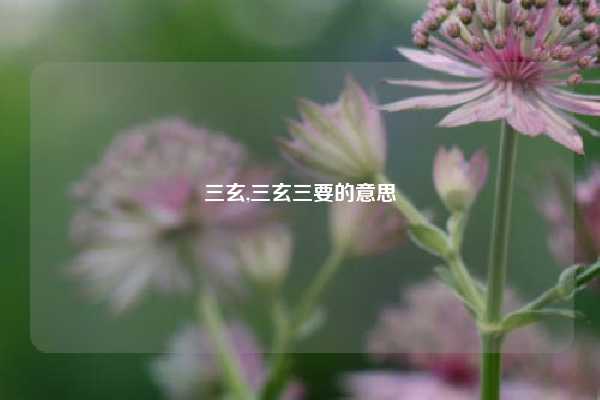 三玄,三玄三要的意思