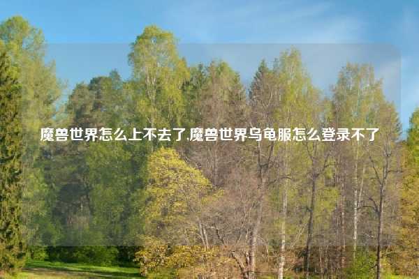 魔兽世界怎么上不去了,魔兽世界乌龟服怎么登录不了