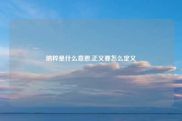纳粹是什么意思,正义要怎么定义