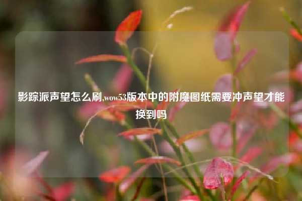 影踪派声望怎么刷,wow53版本中的附魔图纸需要冲声望才能换到吗