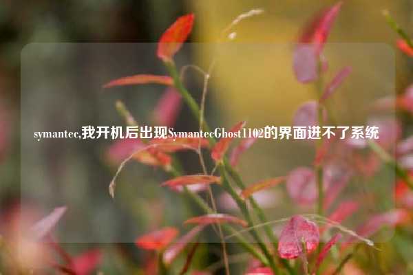 symantec,我开机后出现SymantecGhost1102的界面进不了系统