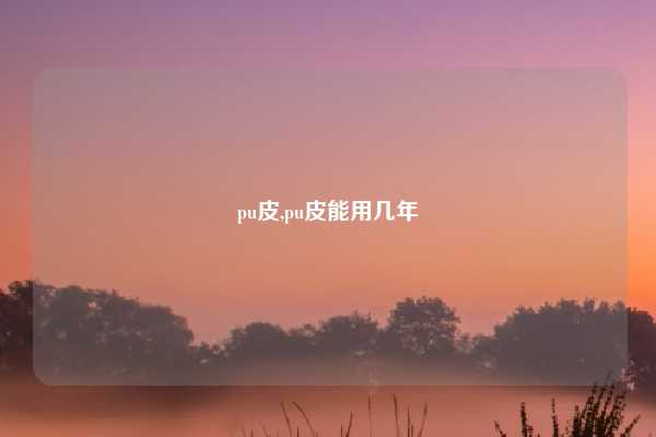 pu皮,pu皮能用几年