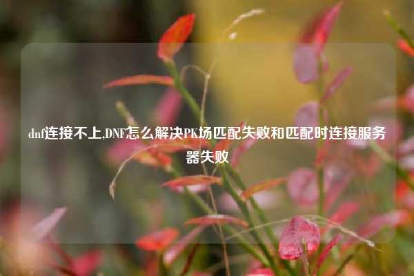 dnf连接不上,DNF怎么解决PK场匹配失败和匹配时连接服务器失败