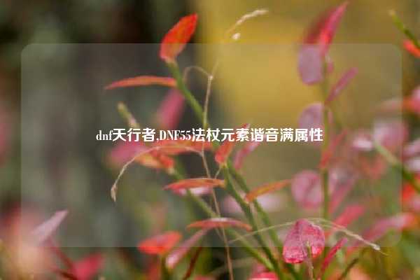dnf天行者,DNF55法杖元素谐音满属性