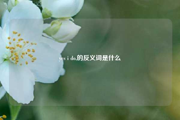 yes i do,的反义词是什么
