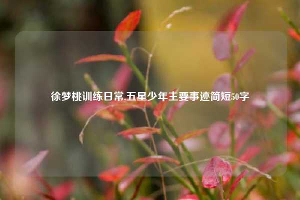 徐梦桃训练日常,五星少年主要事迹简短50字
