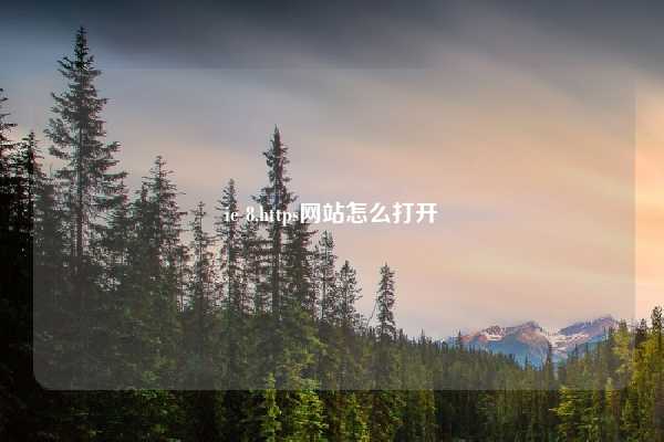 ie 8,https网站怎么打开