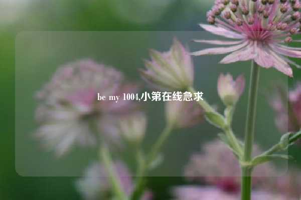 be my 1004,小第在线急求