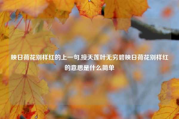 映日荷花别样红的上一句,接天莲叶无穷碧映日荷花别样红的意思是什么简单