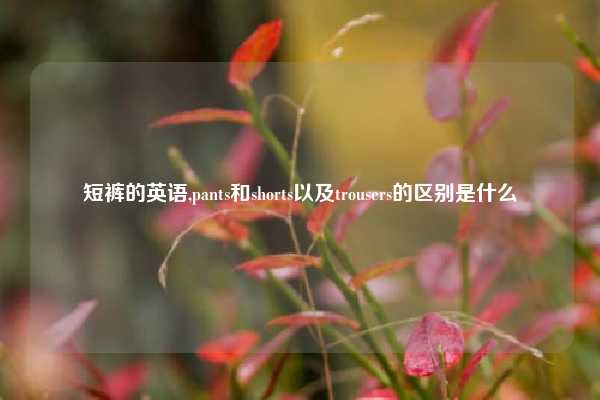 短裤的英语,pants和shorts以及trousers的区别是什么
