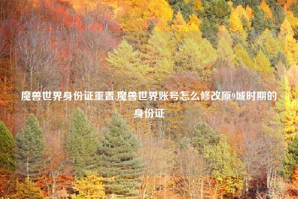 魔兽世界身份证重置,魔兽世界账号怎么修改原9城时期的身份证