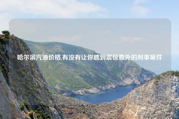 哈尔滨汽油价格,有没有让你感到震惊意外的刑事案件