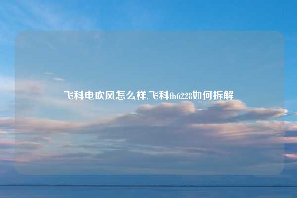 飞科电吹风怎么样,飞科fh6228如何拆解