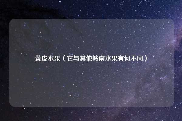 黄皮水果（它与其他岭南水果有何不同）