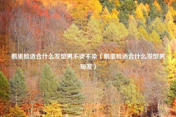 鹅蛋脸适合什么发型男不烫不染（鹅蛋脸适合什么发型男短发）