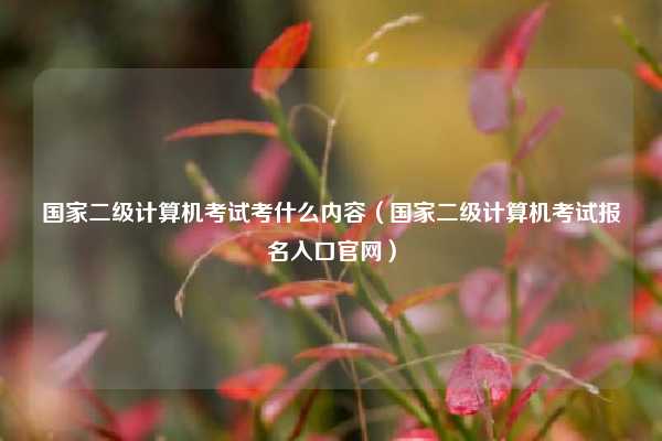 国家二级计算机考试考什么内容（国家二级计算机考试报名入口官网）