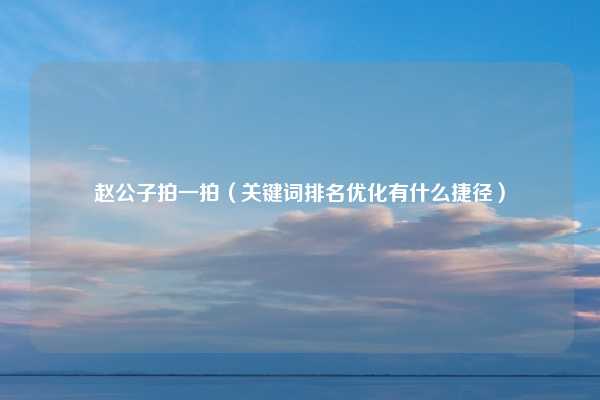 赵公子拍一拍（关键词排名优化有什么捷径）