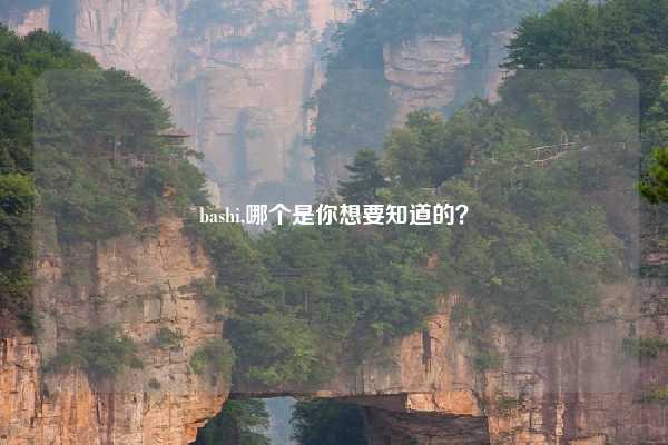 bashi,哪个是你想要知道的？