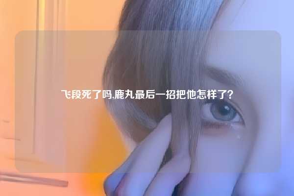 飞段死了吗,鹿丸最后一招把他怎样了？