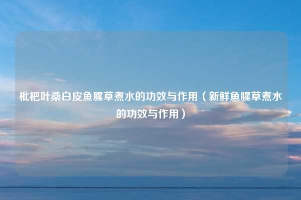 枇杷叶桑白皮鱼腥草煮水的功效与作用（新鲜鱼腥草煮水的功效与作用）