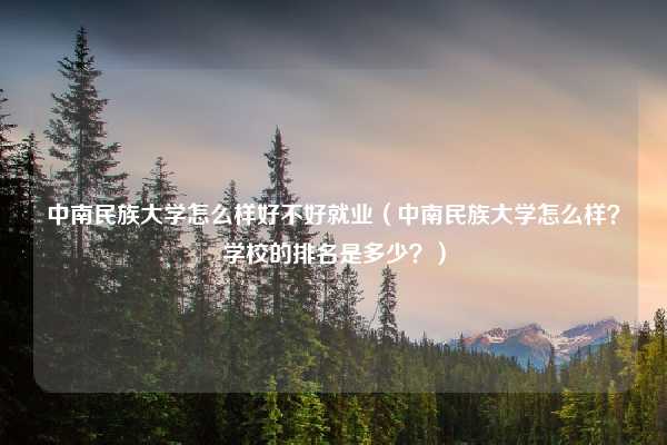 中南民族大学怎么样好不好就业（中南民族大学怎么样？学校的排名是多少？）