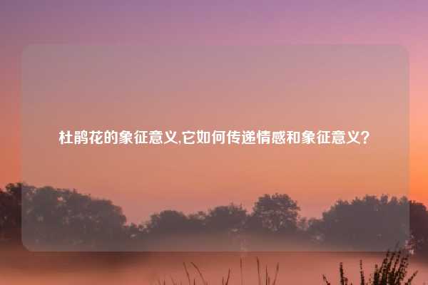 杜鹃花的象征意义,它如何传递情感和象征意义？