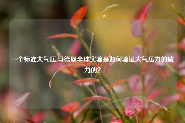 一个标准大气压,马德堡半球实验是如何验证大气压力的威力的？