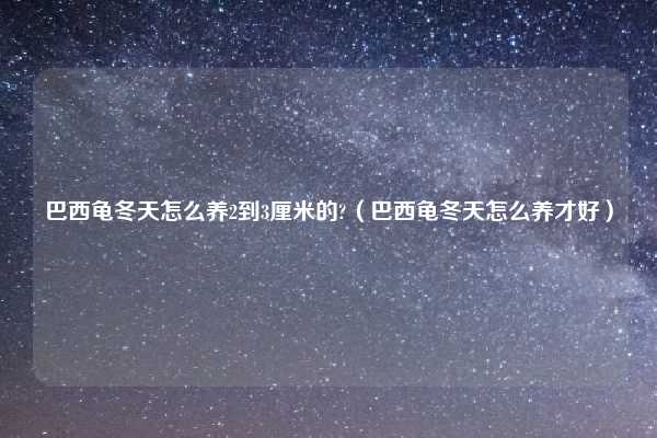 巴西龟冬天怎么养2到3厘米的?（巴西龟冬天怎么养才好）