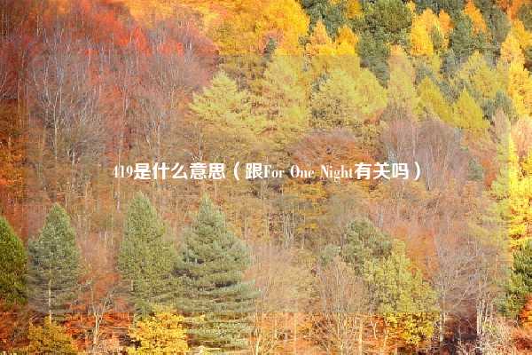 419是什么意思（跟For One Night有关吗）