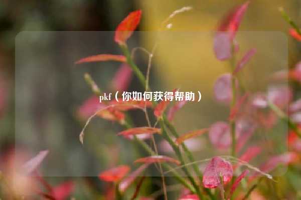 pkf（你如何获得帮助）