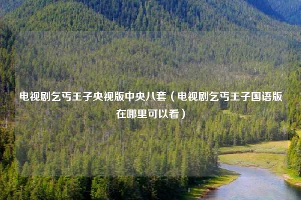 电视剧乞丐王子央视版中央八套（电视剧乞丐王子国语版在哪里可以看）