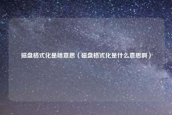 磁盘格式化是啥意思（磁盘格式化是什么意思啊）