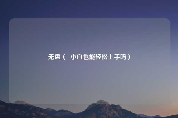 无盘（  小白也能轻松上手吗）