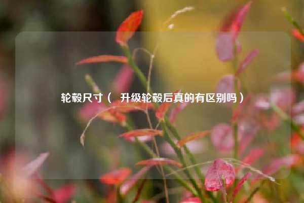 轮毂尺寸（  升级轮毂后真的有区别吗）
