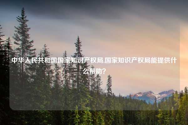 中华人民共和国国家知识产权局,国家知识产权局能提供什么帮助？
