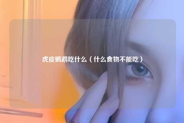 虎皮鹦鹉吃什么（什么食物不能吃）