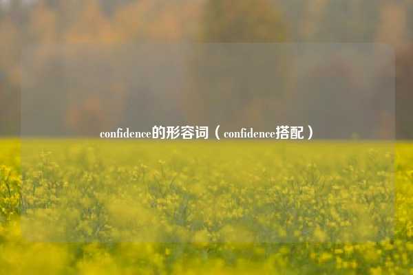confidence的形容词（confidence搭配）