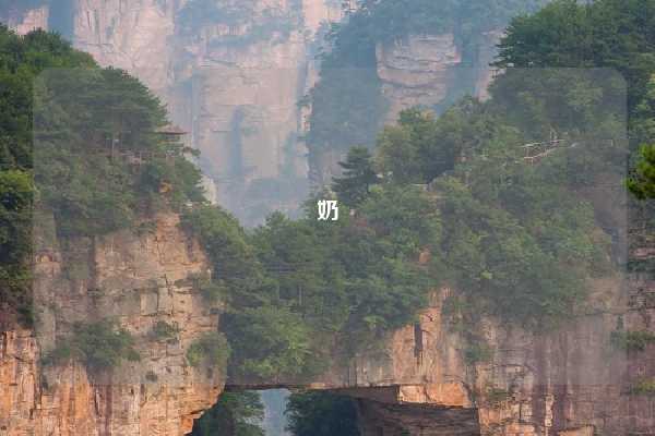 奶