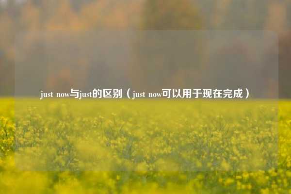just now与just的区别（just now可以用于现在完成）