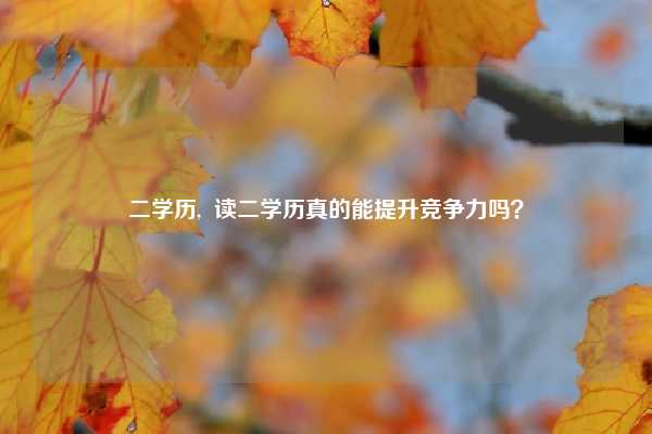 二学历,  读二学历真的能提升竞争力吗？
