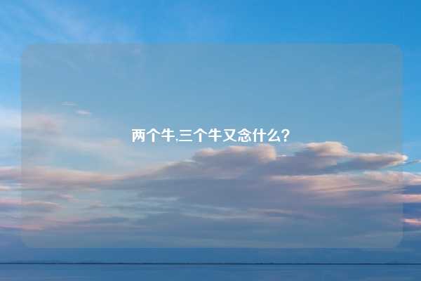 两个牛,三个牛又念什么？