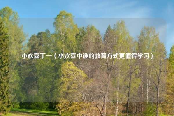 小欢喜丁一（小欢喜中谁的教育方式更值得学习）