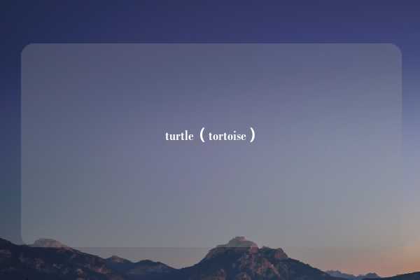turtle（tortoise）