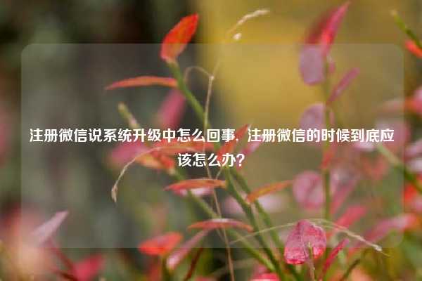 注册微信说系统升级中怎么回事,  注册微信的时候到底应该怎么办？