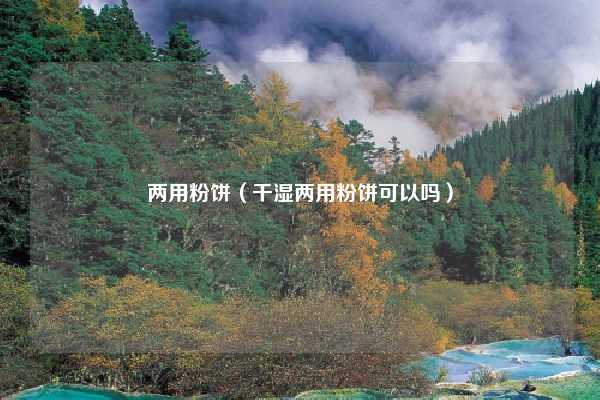 两用粉饼（干湿两用粉饼可以吗）