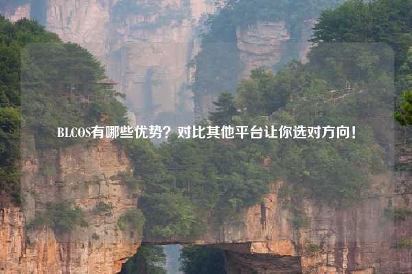 BLCOS有哪些优势？对比其他平台让你选对方向！