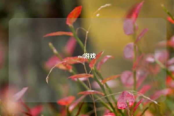 swf游戏