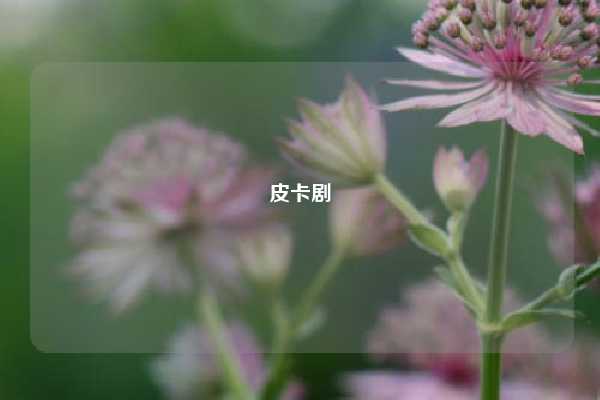 皮卡剧
